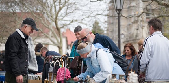 Májový Trnavský blšák