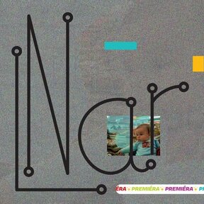 LNar - performatívna inštalácia