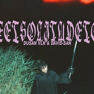 Dušan Vlk - koncert