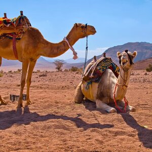 Jordánsko / India - Cestou necestou