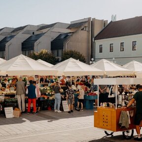 Program na víkend 13. februára – 15. februára 2026 v Regióne Trnava