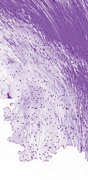 Contracts of recognitions - vernisáž