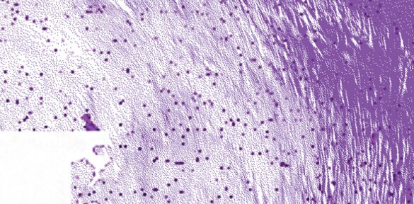 Contracts of recognitions - vernisáž