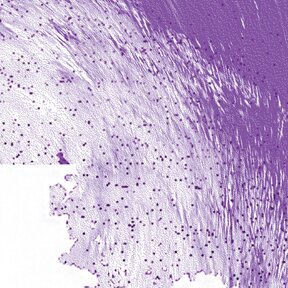 Contracts of recognitions - vernisáž