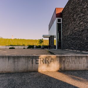 Večere vo vinici Terra Parna