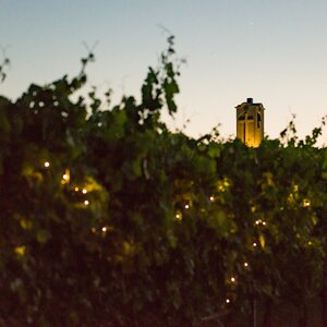 Večere vo vinici Terra Parna