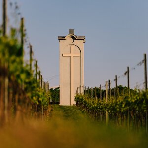 Večere vo vinici Terra Parna