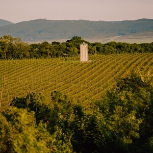 Večere vo vinici Terra Parna