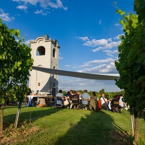 Večere vo vinici Terra Parna