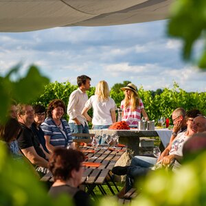 Večere vo vinici Terra Parna