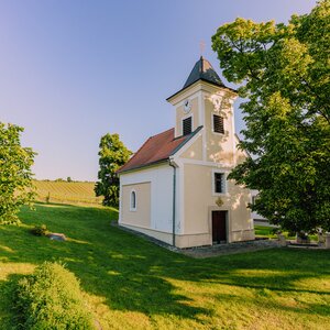 Večere vo vinici Terra Parna