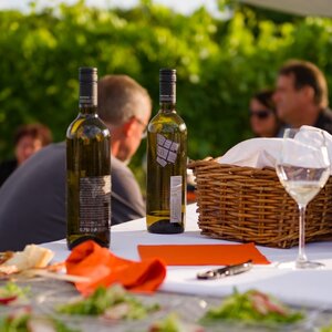 Večere vo vinici Terra Parna