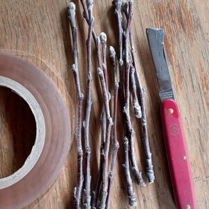 Burza vrúbľov v Naháči