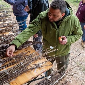 Burza vrúbľov v Naháči