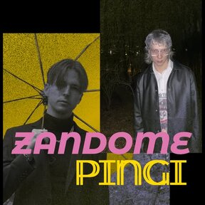 Zandome (SK)/Pingi (CZ) - koncert