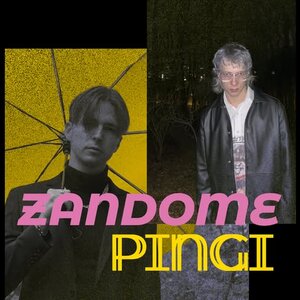 Zandome (SK)/Pingi (CZ) - koncert