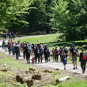 Bielonedeľná púť na Katarínku