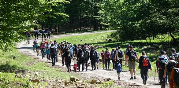 Bielonedeľná púť na Katarínku