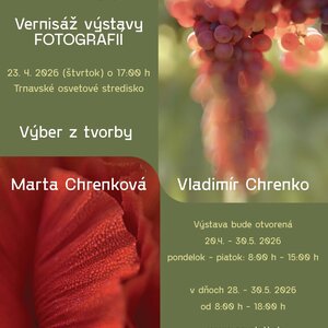 Výstava výtvarných diel a fotografií - výstava