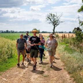 Safari v chotári Regiónu Trnava: Bývalým vinohradom Ružindola