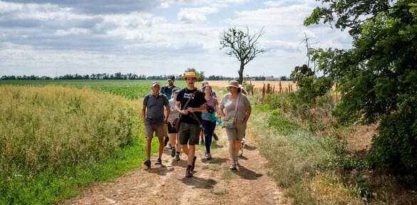 Safari v chotári Regiónu Trnava: Bývalým vinohradom Ružindola
