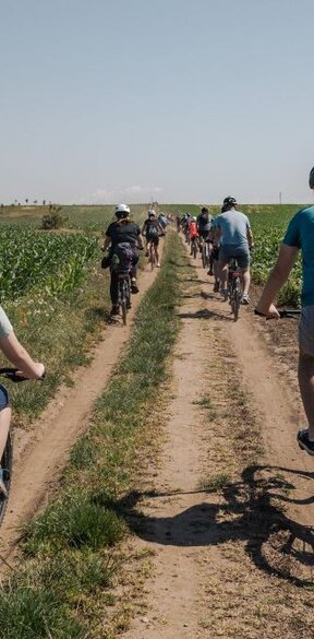 Cykloprehliadka Regiónom Trnava: Malý vinohradnícky okruh