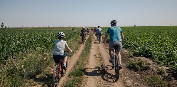 Cykloprehliadka Regiónom Trnava: Malý vinohradnícky okruh