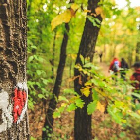 Nepoznané miesta Regiónu Trnava:  Podniková rekreácia na Jahodníku