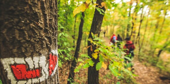 Nepoznané miesta Regiónu Trnava:  Podniková rekreácia na Jahodníku