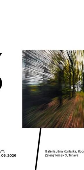Paradoxy reálneho - výstava
