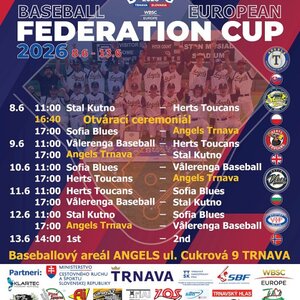 Federation Cup - baseball Federation Cup - baseball
